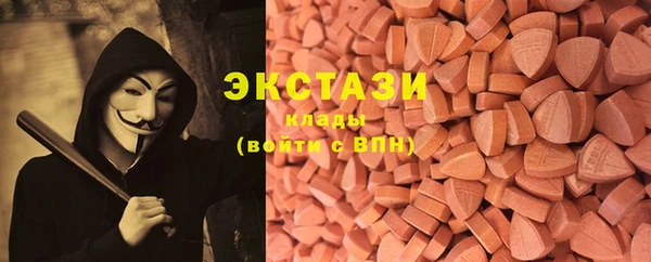МДПВ Гусев