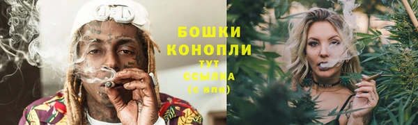 шишки Новодвинск
