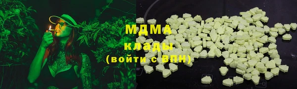 шишки Новодвинск