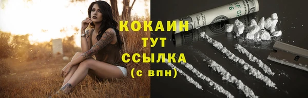 метадон Новозыбков