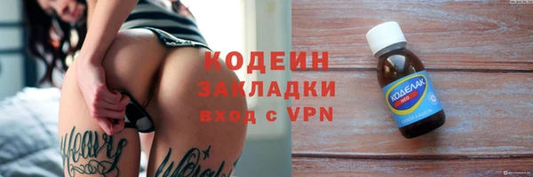 шишки Новодвинск
