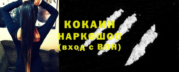 шишки Новодвинск