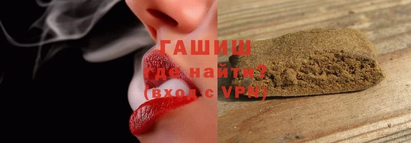 шишки Новодвинск