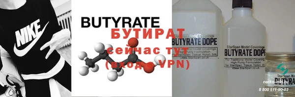 шишки Новодвинск
