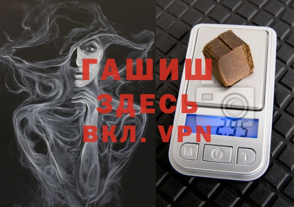 шишки Новодвинск
