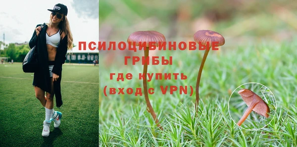 метадон Новозыбков