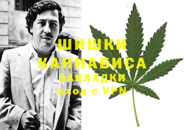 метадон Новозыбков