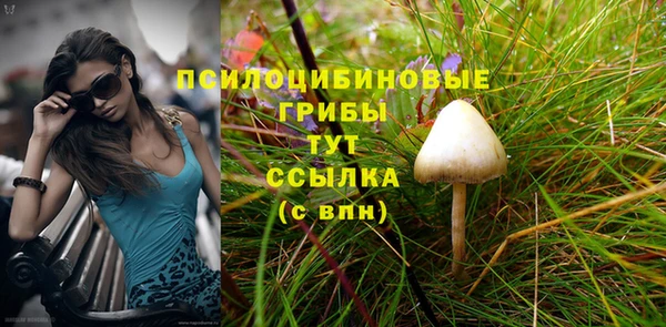 шишки Новодвинск