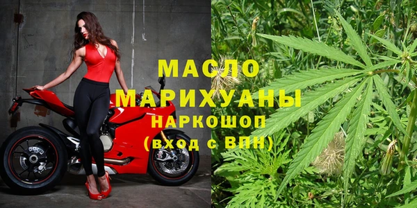 шишки Новодвинск