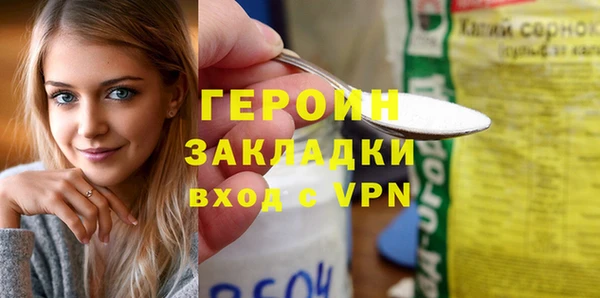шишки Новодвинск